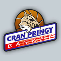 cran pringy basket